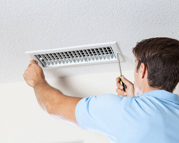 Professional Mold Removal in Christiansburg, VA